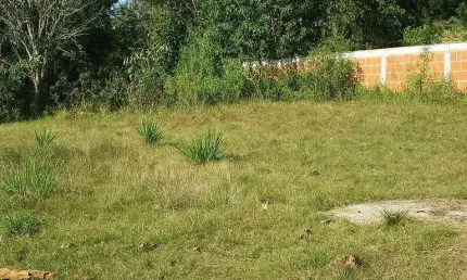 Terreno à venda na Avenida Saquarema, Porto da Roça I, Saquarema