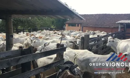 Fazenda para Venda em Araruama, Monteiro (São Vicente)