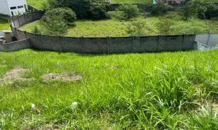'Excelente Lote Nascente de 460m² no Alphaville Litoral Norte 2 – Oportunidade Exclusiva!'