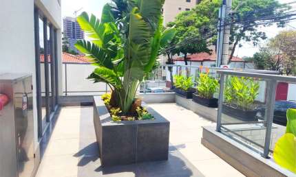 Apartamento com 3 quartos à venda em São Judas - SP