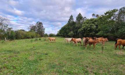 Chácara / sítio com 2 quartos à venda na Rodovia BR 386, 0000, Costa Da Cadeia, Triunfo