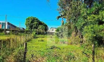 Terreno Residencial à venda, Residencial Cândido Ferreira (Sousas), Campinas - TE0343.