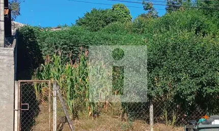 Terreno à venda, 568 m² por R$ 320.000,00 - Jardim Conceição (Sousas) - Campinas/SP