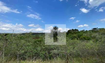 Terreno à venda, 20000 m² por R$ 700.000,00 - Joaquim Egídio - Campinas/SP