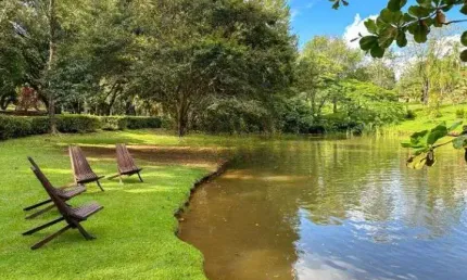 Chácara com 4 dormitórios à venda, 21000 m² por R$ 5.300.000,00 - Jardim Nossa Senhora Auxiliadora - Campinas/SP