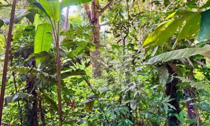 Terreno à venda, 564 m² por R$ 564.000,00 - Parque Jatibaia (Sousas) - Campinas/SP