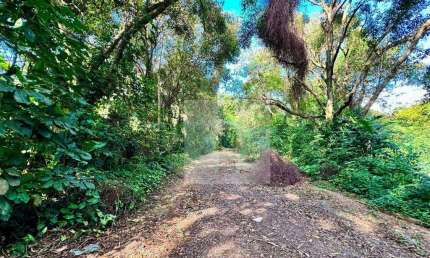 Terreno à venda, 347 m² por R$ 350.000,00 - Parque Jatibaia (Sousas) - Campinas/SP