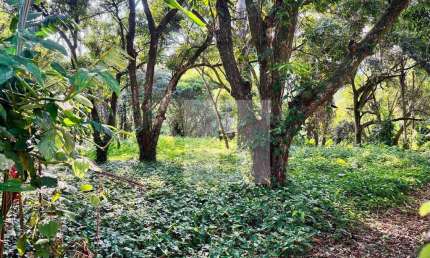 Terreno à venda, 343 m² por R$ 345.000,00 - Parque Jatibaia (Sousas) - Campinas/SP
