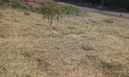 Terreno à venda no Recanto Jaguari, Vargem 