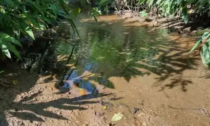 Chácara / sítio à venda no Barra Bonita, Cerro Azul 