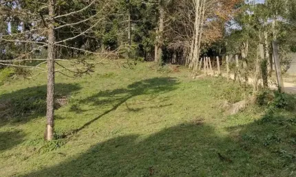 Chácara 3 km da estrada da Ribeira, com 31 mil metros quadrados