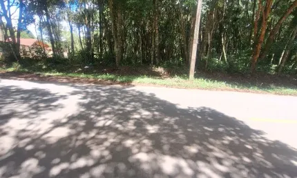 Vendo chácara  de frente para o asfalto 200 metros da estrada da Ribeira