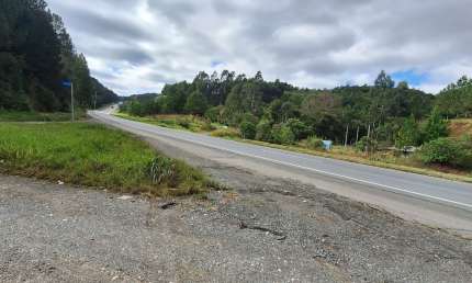 Chácara / sítio com 4 quartos à venda na Rua Coronel Monteiro, 00, Zona Rural, Campina Grande do Sul