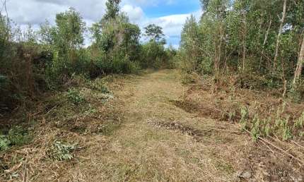 Chácara 3 km do asfalto com rio/ Campina Grande do Sul