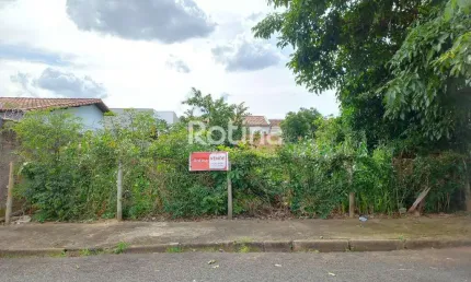 Terreno à venda, Segismundo Pereira - Uberlândia/MG - Rotina Imobiliária