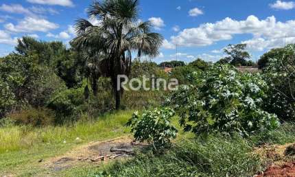 Terreno à venda, Nossa Senhora das Graças - Uberlândia/MG - Rotina Imobiliária