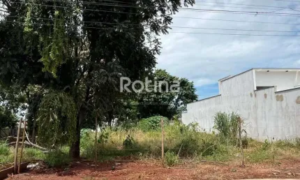 Terreno à venda, Cidade Jardim - Uberlândia/MG - Rotina Imobiliária