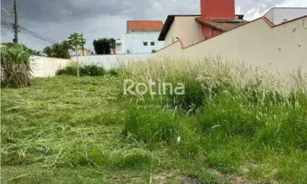 Terreno à venda, Jardim Colina - Uberlândia/MG - Rotina Imobiliária