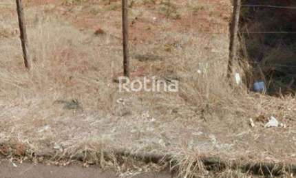 Terreno à venda, Santa Mônica - Uberlândia/MG - Rotina Imobiliária
