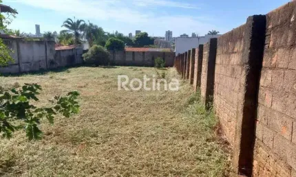 Terreno à venda, cidade jardim - uberlândia/mg - rotina imobiliária