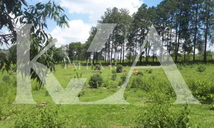Área a Venda ideal para empreendimentos 48.000 m2 - Distrito Industrial - Jardim Pellizzari