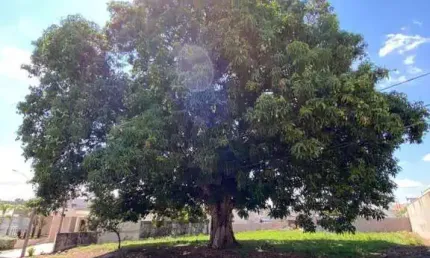 Terreno em Condomínio para Venda em Limeira, Portal de Sao Clemente