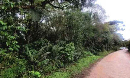 Terreno em condomínio fechado à venda na Rua Ney Leprevost, 03, Recreio da Serra, Piraquara, 6500 m2 por R$ 480.000