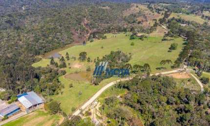 Fazenda à venda, 798600 m² por R$ 12.500.000,90 - Borda Do Campo - São José dos Pinhais/PR