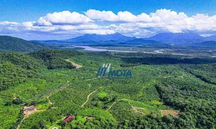 Fazenda Ideal para Resort, hotel Fazenda, Turismo e demais empreendimentos, Com 349,1 hectaresAtualmente formada com plantação de bananas e palmitos