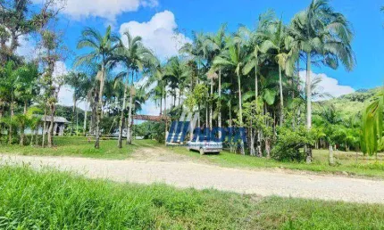 Sitio a venda Antonina com 47 hectares com casa sede, casa caseiro, tanques e plantação de palmitos