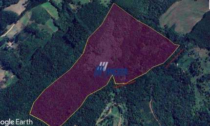 Chácara à venda, com 7,7 alqueires ou seja 186700 m² por R$ 860.000 - Itaqui de Cima - Campo Largo/PR