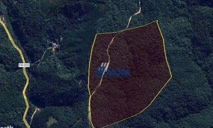 Ótima área a venda campo largo com 11,8 alqueires com nascentes e córrego que passa pela área, estradas interna,