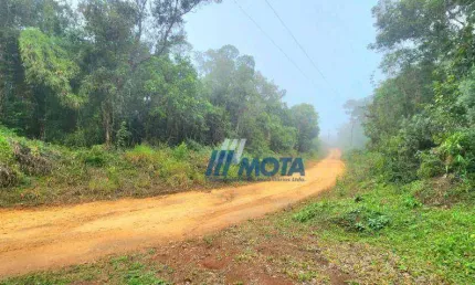 Ótima área a venda Campo Largo Com 11,8 alqueires com nascentes e riozinho que passa pela área se tornado  fácil para fazer tanques,