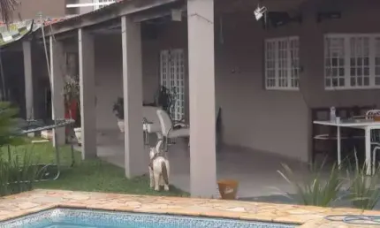 Sitío/Chácara com 03 quartos à venda, 250m²-Ipanema do meio Aracoiaba Serra