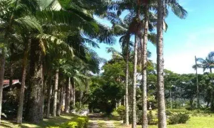 Área espetacular em região com muito verde, atibaia-sp