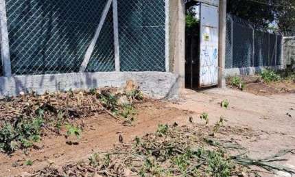Chacara para venda em Sao Paulo - Chacara Santa Etelvina