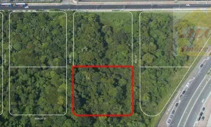 Terreno à venda, 3251 m² por R$ 9.500.318,75 - Mirim - Praia Grande/SP