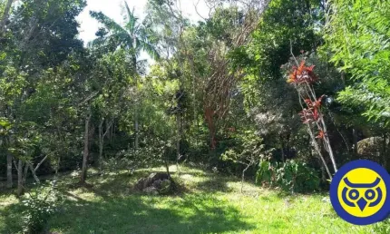 Chácara / sítio com 2 quartos à venda na Estrada Cristóvão Machado de Campos, Vargem Grande, Florianópolis