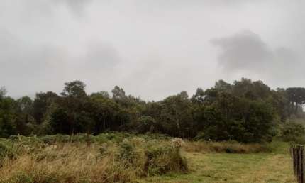 Chácara / sítio à venda no Boa Vista do Herval, Santa Maria do Herval 