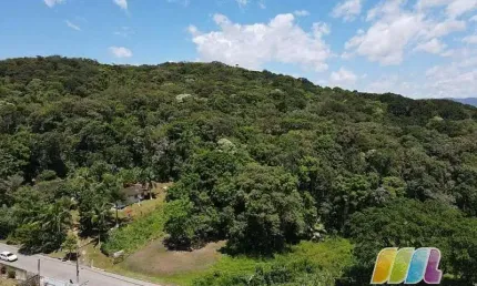 Área à venda, 25.000 m² por R$ 1.800.000 - Água Branca - São Francisco do Sul/SC