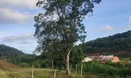 Terreno à venda, 360 m² por R$ 95.400 - Rocio Grande - São Francisco do Sul/SC
