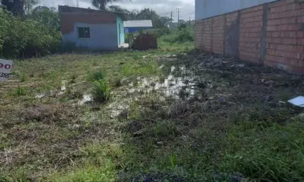 Terreno à venda, ubatuba, são francisco do sul, santa catarina