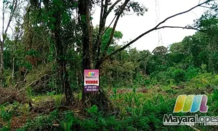 Terreno à venda, 9.000m² por R$ 400.000 - Acaraí - São Francisco do Sul/SC