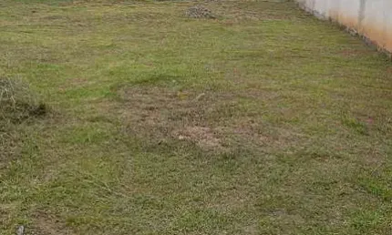 Terreno à venda na Rua Braulio Camargo, Iperoba, São Francisco do Sul
