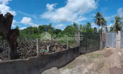 Terreno à venda na Rua Raimundo Nonato B. Alves, Matões, Caucaia