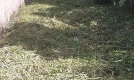 Terreno à venda no Verde Mar, Itanhaém 