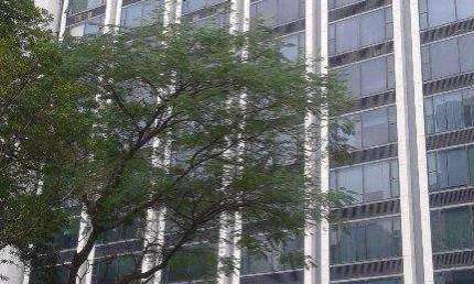 Conjunto, 562 m² - locação ou venda - Cidade Monções - São Paulo/SP
