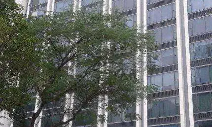 Conjunto, 562 m² - locação ou venda - Cidade Monções - São Paulo/SP