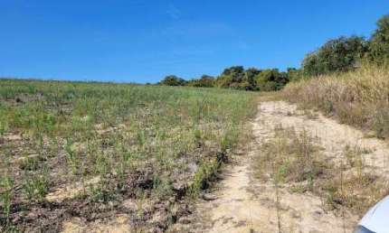 Sítio com 1 dormitório à venda, 20000 m² por R$ 450.000,00 - Area Rural - Cosmópolis/SP