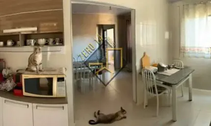 Casa com 2 quartos à venda no Núcleo Habitacional Mary Dota, Bauru 